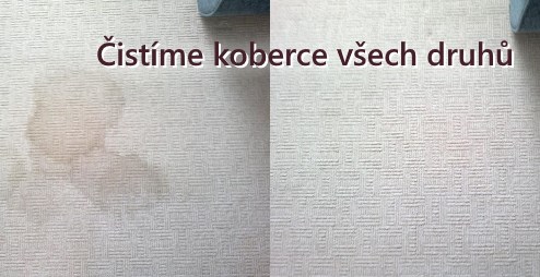 Čistíme koberce všech druhů